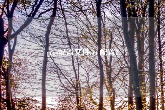 gogs配置文件,go 配置?