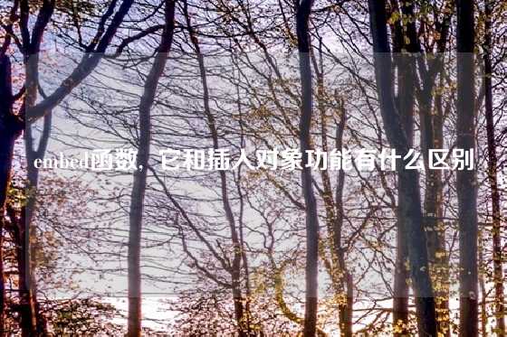 embed函数,  它和插入对象功能有什么区别