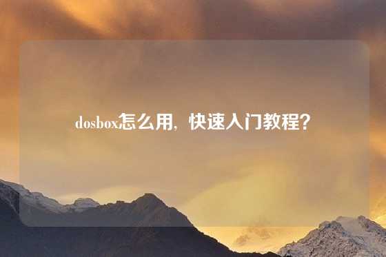 dosbox怎么用,  快速入门教程？