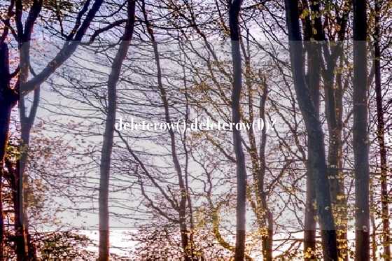 deleterow(),deleterow(0)?