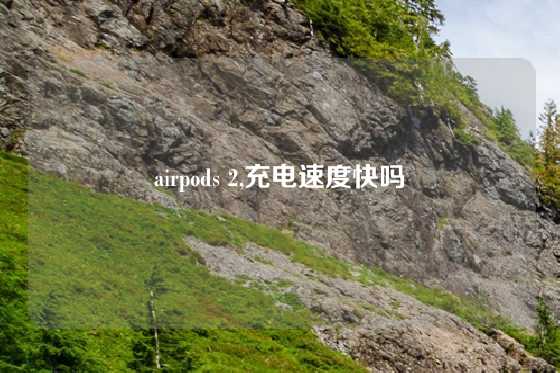 airpods 2,充电速度快吗