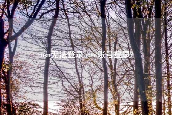 msn无法登录,msn账号登录?