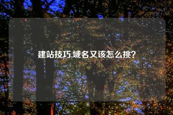 建站技巧,域名又该怎么挑？