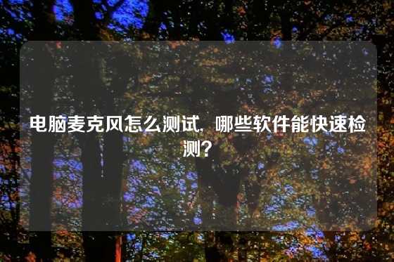 电脑麦克风怎么测试,  哪些软件能快速检测？