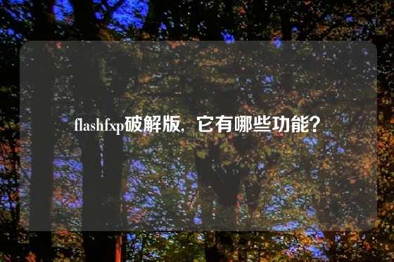 flashfxp破解版,  它有哪些功能？