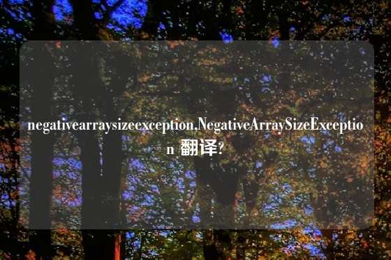 negativearraysizeexception,NegativeArraySizeException 翻译?