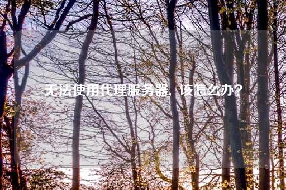 无法使用代理服务器,  该怎么办？