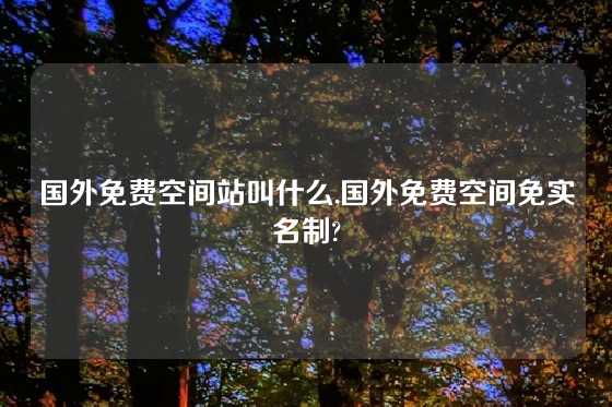 国外免费空间站叫什么,国外免费空间免实名制?