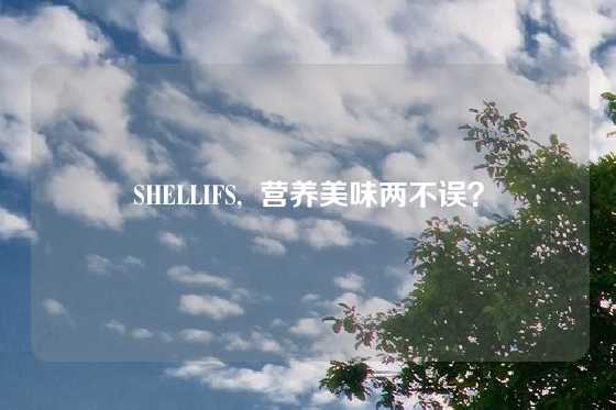 SHELLIFS,  营养美味两不误？