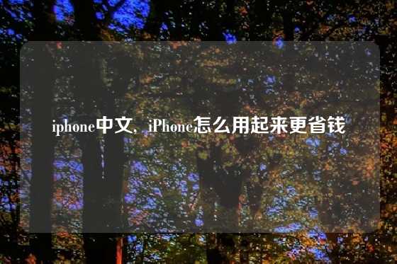 iphone中文,  iPhone怎么用起来更省钱