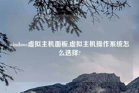 windows虚拟主机面板,虚拟主机操作系统怎么选择?