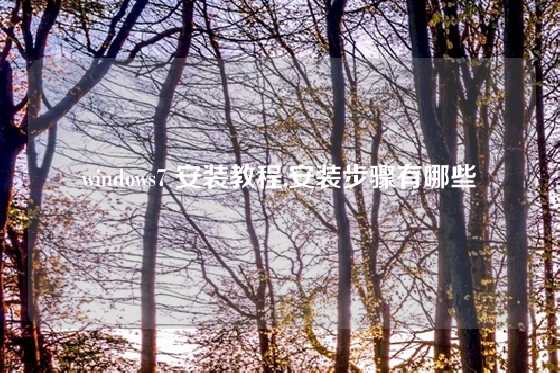 windows7 安装教程,安装步骤有哪些