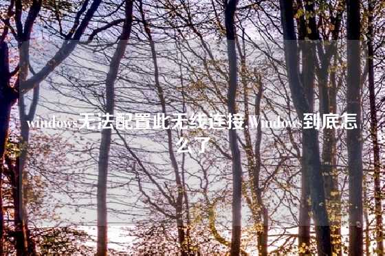 windows无法配置此无线连接,Windows到底怎么了