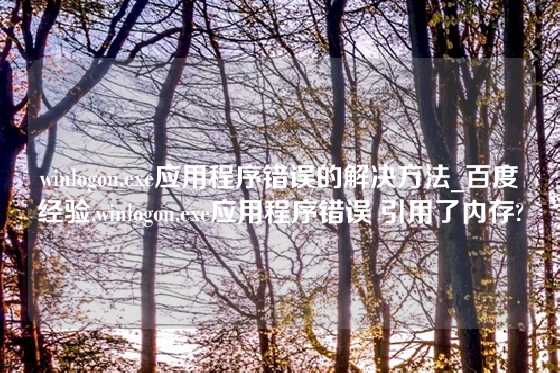 winlogon.exe应用程序错误的解决方法_百度经验,winlogon.exe应用程序错误 引用了内存?