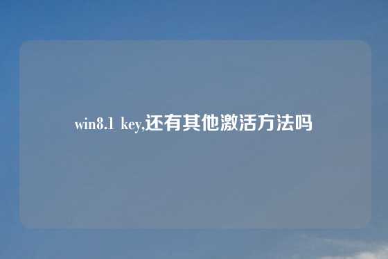 win8.1 key,还有其他激活方法吗
