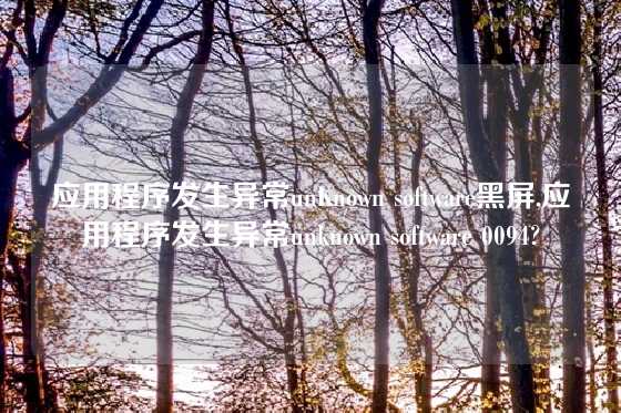 应用程序发生异常unKnown software黑屏,应用程序发生异常unknown software 0094?