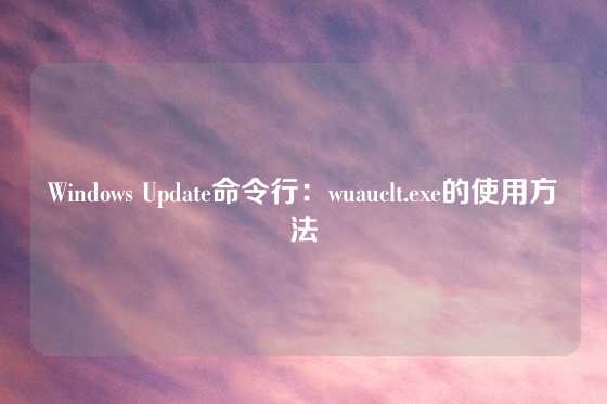 Windows Update命令行：wuauclt.exe的使用方法