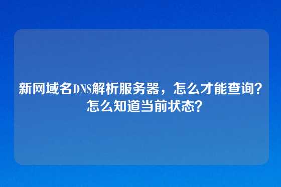 新网域名DNS解析服务器，怎么才能查询？  怎么知道当前状态？