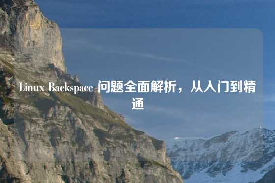 Linux Backspace 问题全面解析，从入门到精通