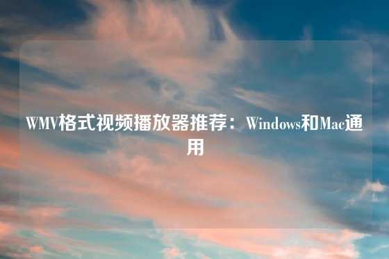 WMV格式视频播放器推荐：Windows和Mac通用