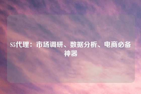 S5代理：市场调研、数据分析、电商必备神器