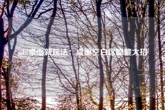 adw桌面新玩法：桌面空白区隐藏大招