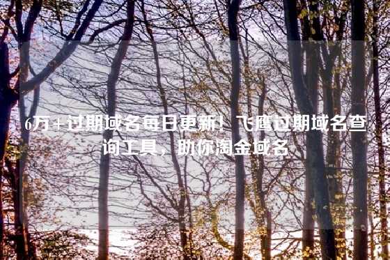 6万+过期域名每日更新！飞鹰过期域名查询工具，助你淘金域名