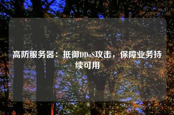 高防服务器：抵御DDoS攻击，保障业务持续可用