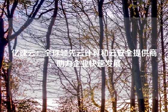 亿速云：全球领先云计算和云安全提供商，助力企业快速发展