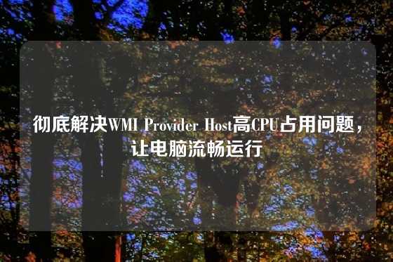 彻底解决WMI Provider Host高CPU占用问题，让电脑流畅运行
