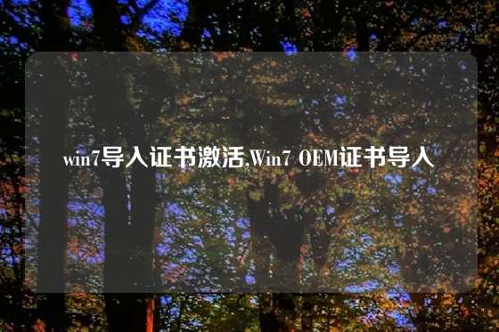 win7导入证书激活,Win7 OEM证书导入