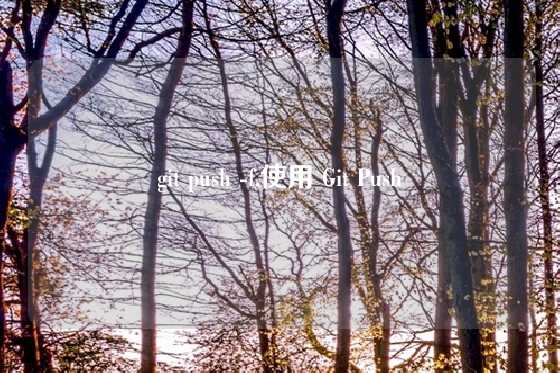 git push -f,使用 Git Push