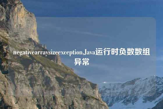 negativearraysizeexception,Java运行时负数数组异常