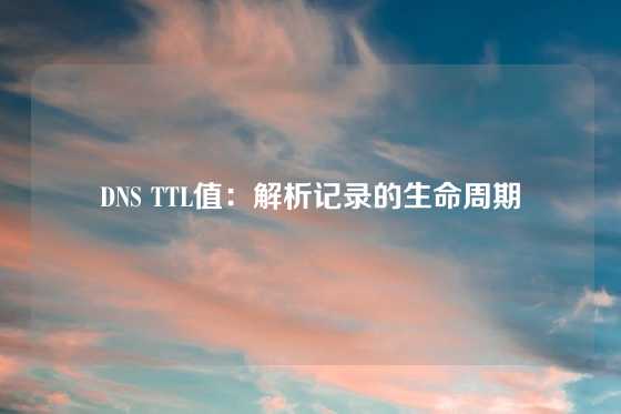 DNS TTL值：解析记录的生命周期