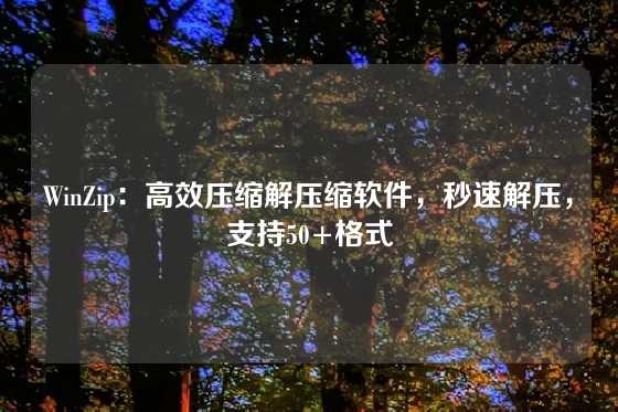 WinZip：高效压缩解压缩软件，秒速解压，支持50+格式