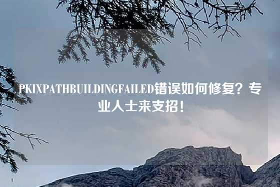 PKIXPATHBUILDINGFAILED错误如何修复？专业人士来支招！