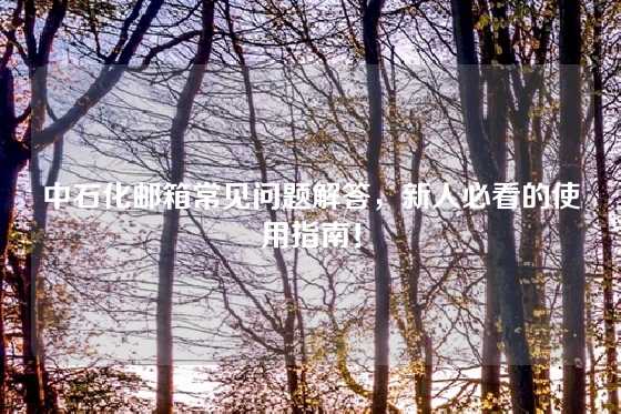 中石化邮箱常见问题解答，新人必看的使用指南！