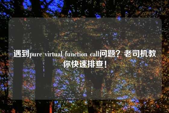 遇到pure virtual function call问题？老司机教你快速排查！