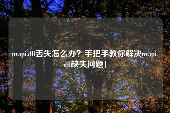 nvapi.dll丢失怎么办？手把手教你解决nvapi.dll缺失问题！