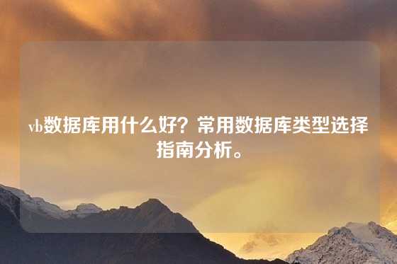 vb数据库用什么好？常用数据库类型选择指南分析。