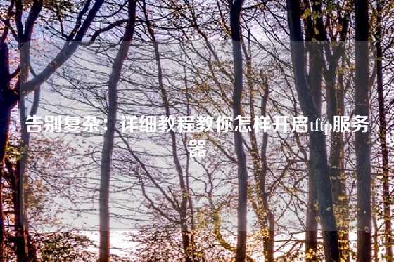 告别复杂：详细教程教你怎样开启tftp服务器