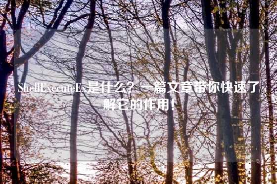 ShellExecuteEx是什么？一篇文章带你快速了解它的作用！