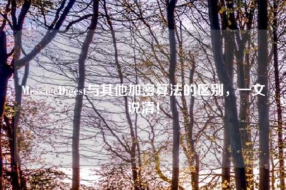 MessageDigest与其他加密算法的区别，一文说清！