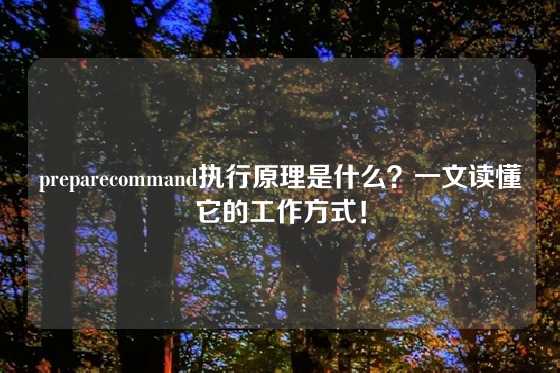 preparecommand执行原理是什么？一文读懂它的工作方式！