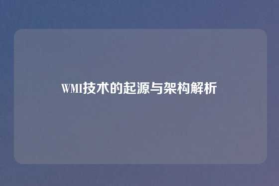 WMI技术的起源与架构解析