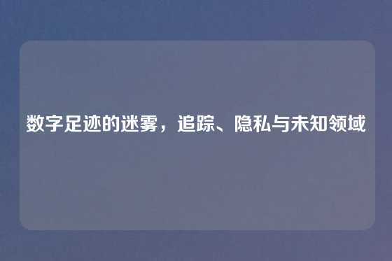 数字足迹的迷雾，追踪、隐私与未知领域
