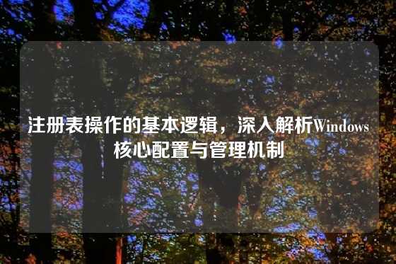 注册表操作的基本逻辑，深入解析Windows核心配置与管理机制