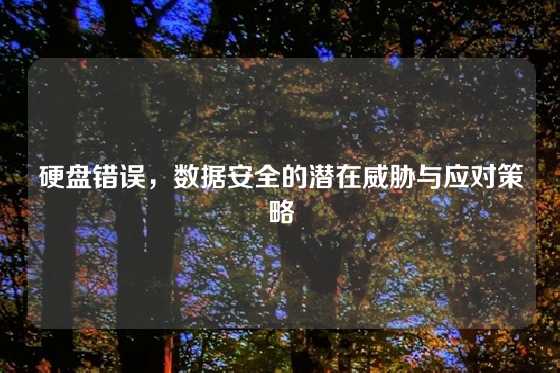 硬盘错误，数据安全的潜在威胁与应对策略