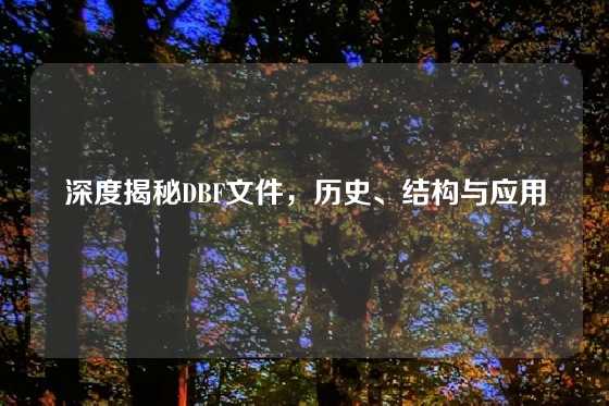 深度揭秘DBF文件，历史、结构与应用