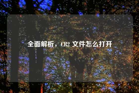 全面解析，CR2 文件怎么打开